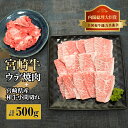 【ふるさと納税】宮崎牛ウデ焼肉と宮崎県産和牛小間切れセット 計500g (宮崎牛ウデ焼肉400g×1、宮崎県産和小間切れ100g×1)【KU311】