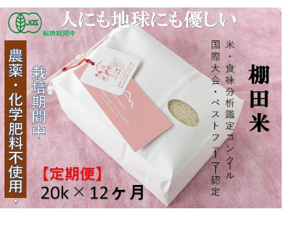 
            【2025年産新米】【12ヶ月定期便】【有機JAS認証米】魚沼コシヒカリ 苗場プリンセス・プレミアム 精米 20kg (20kg×1袋) 計240kg
          