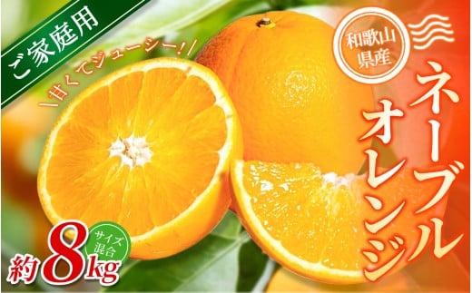 【ご家庭用】手選別 ネーブルオレンジ 約8kg 和歌山県産 2S~2Lサイズ混合※2026年1月上旬～2月中旬頃に順次発送【mrmt046】