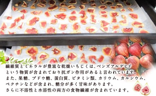 吉瀬森果園 イチジク (とよみつひめ) セミドライフルーツ (45ｇ×3袋) 【2026年9月上旬より順次発送予定】計135ｇイチジク いちじく 旬 フルーツ 果物 果実 常温 送料無料 福岡県 うき
