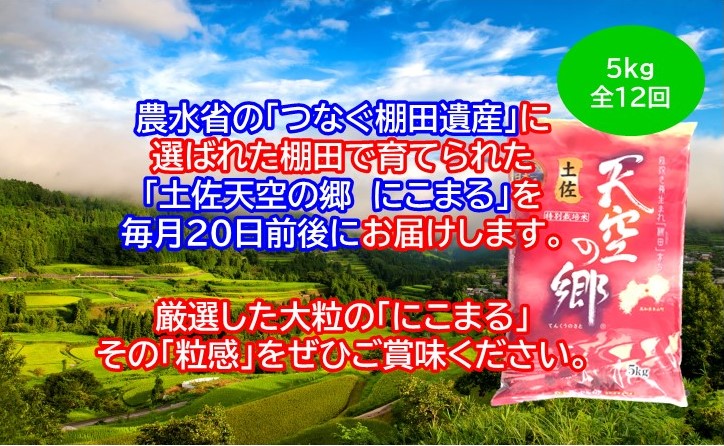 【新米定期便】令和7年産土佐天空の郷 にこまる 5kg 毎月お届け全12回 2010年・2016年 お米日本一コンテスト inしずおか 特別最高金賞受賞の棚田米
