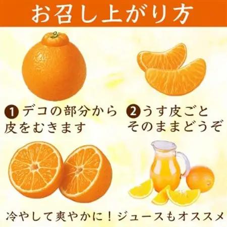 【先行予約】熊本県産 不知火 甘さが濃厚でジューシー! デコみかん 12～24玉 約5kg(益城町)【1726328】