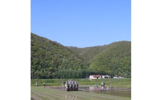 令和7年度産 ゆめぴりか 10kg 米 精米 白米 【2025年10月下旬~2026年3月下旬発送予定】 011-0026