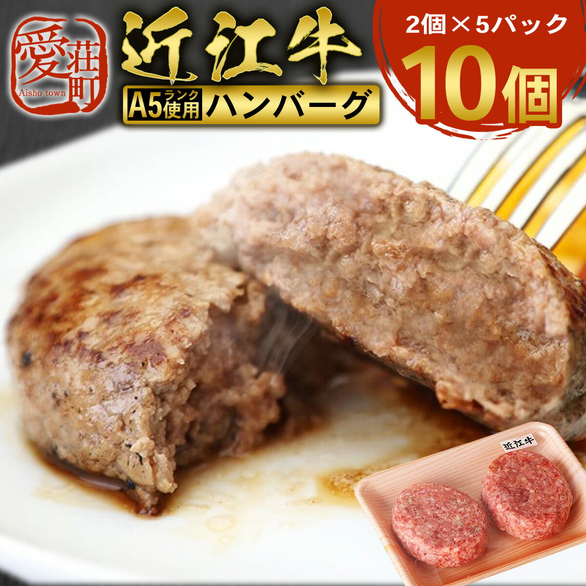 【ふるさと納税】近江牛 ハンバーグ 10個 A5 ランク 使用　 フレンチレストランRuisseauシェフ監修　牛肉 和牛 黒毛和牛 国産　AI15