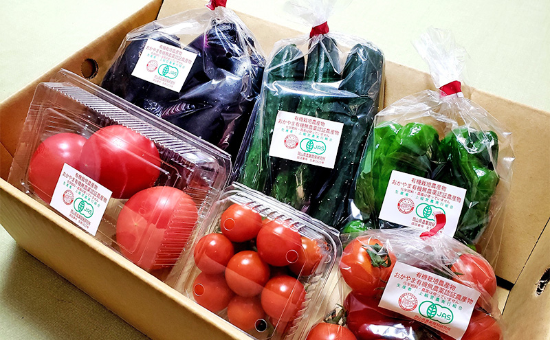 夏野菜 詰め合わせ おかやま 有機無農薬 農産物 野菜 セット
