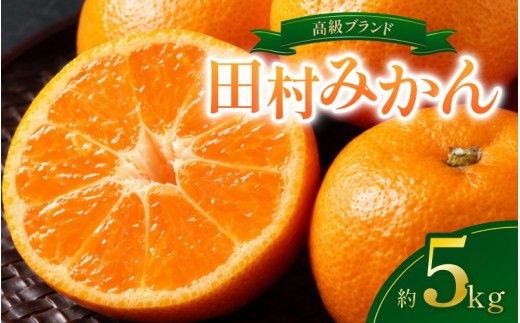 【先行予約受付中！】高級みかん ブランド 田村みかん 5kg ※2026年11月下旬～2027年1月下旬頃に順次発送予定（お届け日指定不可）有田みかんの最高峰 / みかんミカン 柑橘 フルーツ 果物 甘い 和歌山 柑橘類 蜜柑 フルーツ デザート 食後 くだもの 甘い 旬 人気 産地直送 和歌山県 ありだし みかん5kg 糖度 17度 ブランド 高品質 高級ブランド【uot504B】