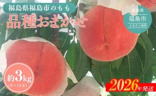 No.3113 福島の桃 約3kg品種・玉数おまかせ【2026年発送　先行予約】