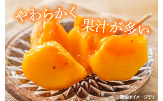 【2026年10月下旬より順次発送】【数量限定】富有柿 L 16玉【茨城県共通返礼品/石岡市】【水戸市 茨城県 カキ 柿 フルーツ 果物 くだもの 富有柿 ジューシー 甘い】（IU-9）