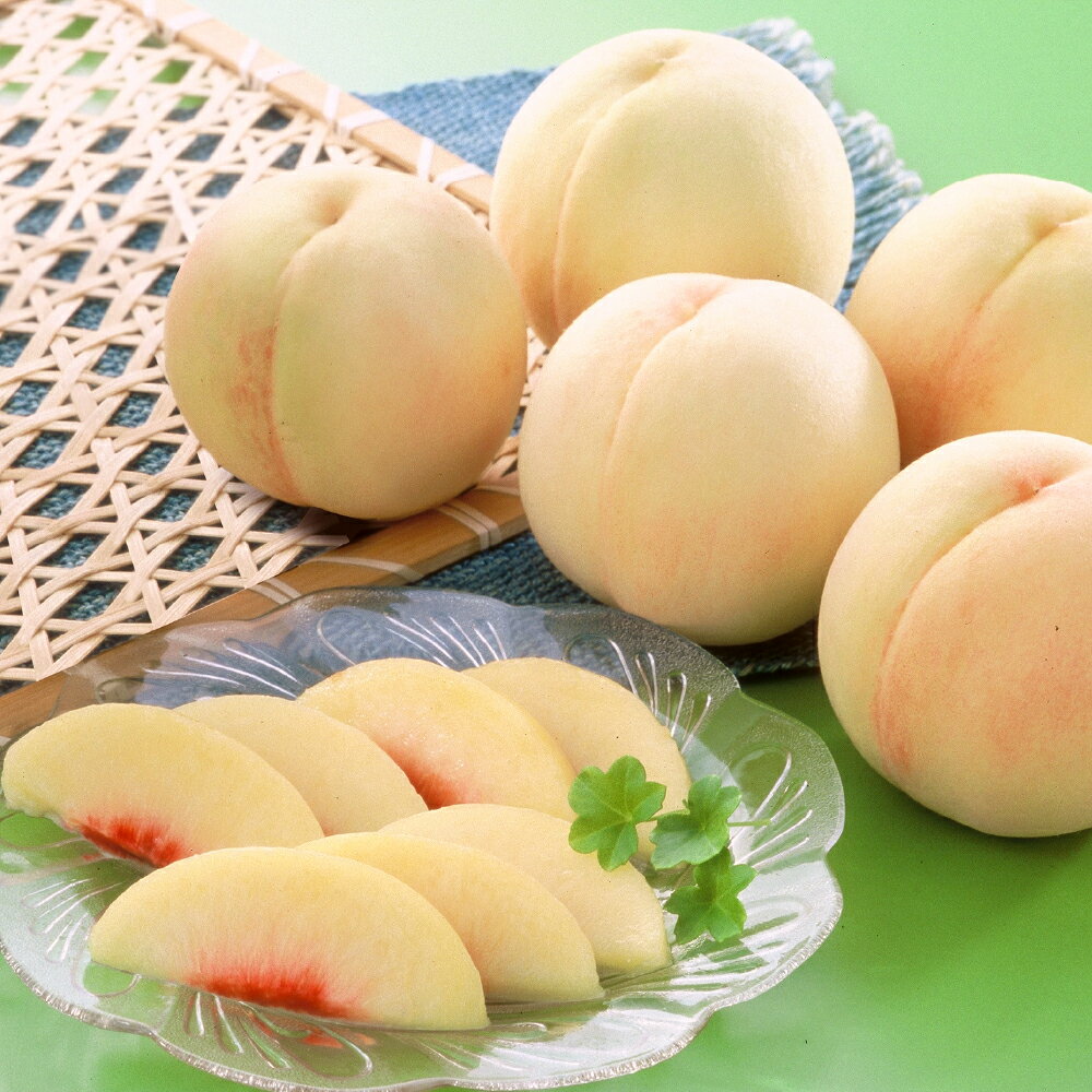 【ふるさと納税】岡山白桃 5～7玉（合計1.5kg以上） ＜選べる品種＞ 白鳳 / 加納岩白桃・おかやま夢白桃 / 白麗 桃 もも モモ フルーツ 果物 果実 くだもの 冷蔵 岡山県産 国産 岡山県 倉敷市 送料無料 【2026年7月上旬～7月下旬もしくは8月上旬迄順次発送予定】