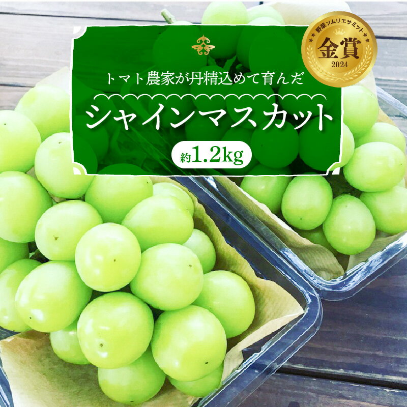 【ふるさと納税】【先行予約】 数量限定 高評価☆4.9 甘い 新鮮 シャインマスカット 約 1.2kg × 2房 果物 夏 フルーツ お取り寄せ お取り寄せフルーツ マスカット ぶどう 国産 おやつ デザート トマト農家 季節 旬 体験 長田農園 愛知県 碧南市 冷蔵 送料無料