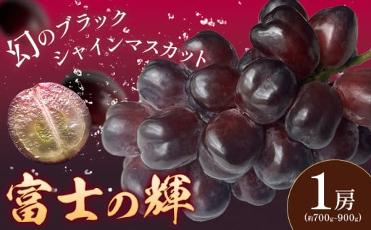 ぶどう 富士の輝 1房 約700～900g 葡萄 ブドウ ぶどう 大粒 種なし ブラック シャインマスカット 皮ごと フルーツ 果物 産地直送 新鮮 お取り寄せ ギフト 国産 季節限定 茨城県 結城市 《8月下旬-9月下旬頃出荷》 會澤ぶどう・キウイフルーツ園 【配送不可地域あり】(離島)