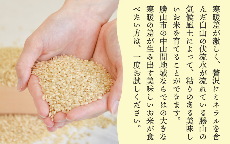 【先行予約】白山の恵み 令和8年産 コシヒカリ玄米（10kg）※2026年10月上旬以降順次発送予定 [A-009012]
