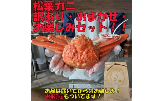 岩美町特産松葉ガニ 訳ありお任せお楽しみセット｜鳥取 岩美 かに 蟹 ※お届けは2026年11月～【24040】