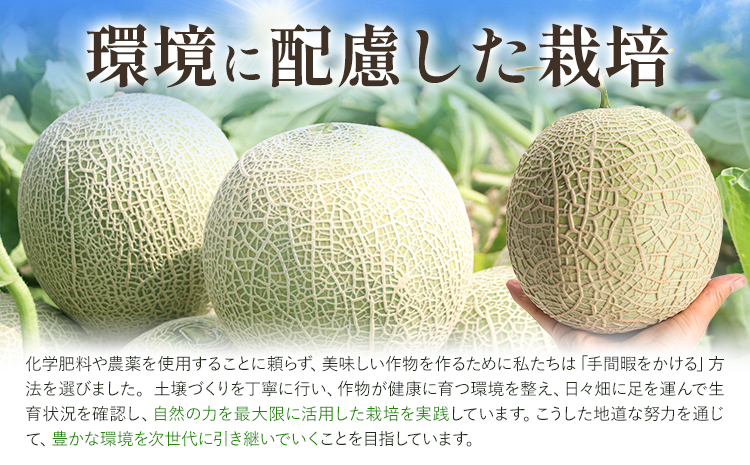 【先行予約】メロン 肥後グリーンメロン 特大 4L ～ 5L サイズ 2玉 約2～2.4kg×2 MOTOYAMA358FARM 《2026年4月中旬-6月中旬頃出荷》 熊本県 菊池市 メロン 果物 