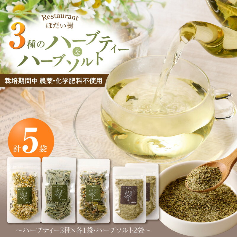 【ふるさと納税】ぼだい樹 自家製 ハーブソルト ハーブティー セット 小牧市産 100％ ハーブ 使用 ブレンド カモミール レモングラス 3種 ティータイム お茶 オーナー 厳選 ソルト お取り寄せ 愛知県 小牧市 送料無料