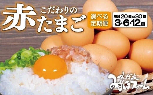 
            【定期便】赤たまご 選べる 回数 内容量 20個 30個 3回 6回 12回 定期便 毎月 お届け こだわり卵 たまご 濃い 玉子 セット 玉子焼き 卵焼き オムレツ 卵かけご飯 ゆで卵 鶏卵 卵黄 ※北海道・東北・沖縄・その他離島は配送不可 [013MF001RX]
          