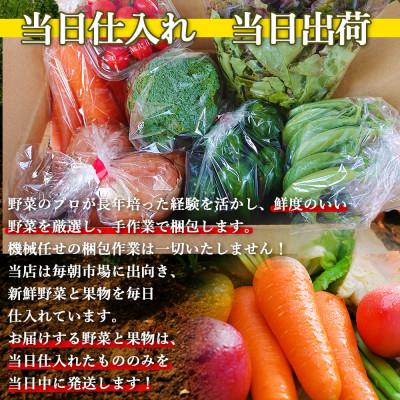 ふるさと納税 時津町 【発送月固定定期便】こだわり野菜セット 7〜8品目 詰め合わせ (時津町)全6回 |  | 01