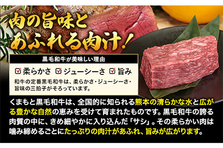 くまもと 黒毛和牛 ローストビーフ用 赤身ブロック 500g 黒毛和牛