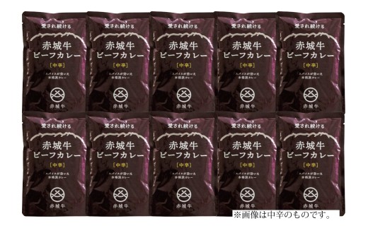 赤城牛ビーフカレー中辛１０個セット