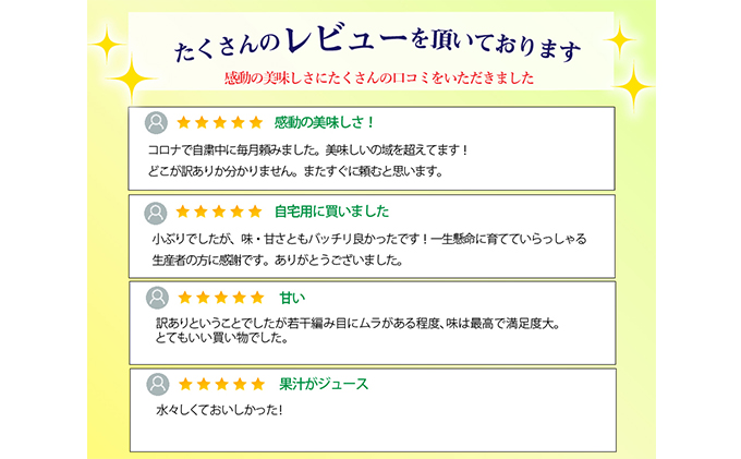 ワケありメロン6玉入り（クラウンメロン） 果物類 メロン