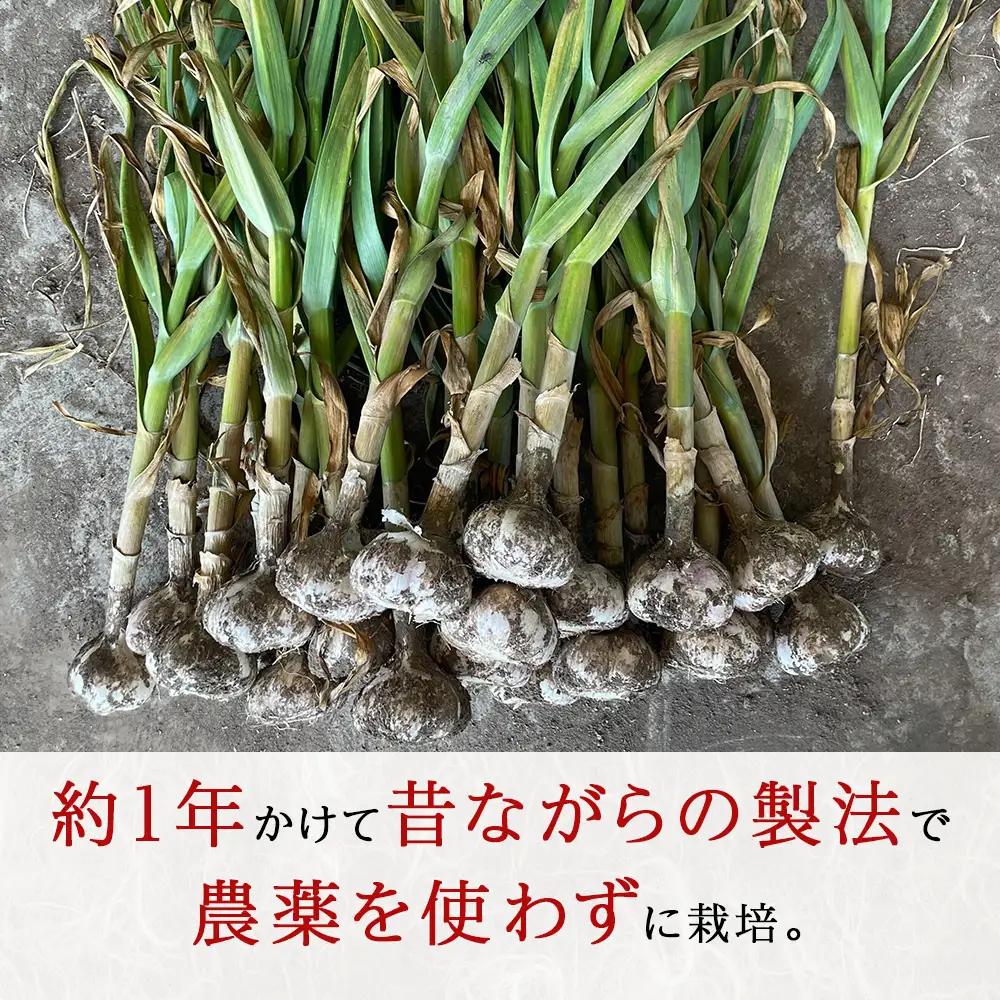 2026年分予約開始！ 【数量限定】渋谷さん家の「無農薬 にんにく MIXサイズ 200gx5袋」