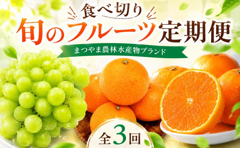 
                  【全3回】食べきり 旬のフルーツ定期便 まつやま農林水産物ブランド | 紅まどんな シャインマスカット せとか まどんな 紅マドンナ マスカット フジ・アグリフーズ みかん 愛媛蜜柑 愛媛ミカン みかん ミカン mikan 蜜柑 柑橘 フルーツ 果物 シャインマスカット ぶどう 数量限定 人気 おすすめ 愛媛県 松山市 送料無料
                