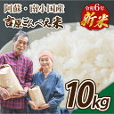 【ふるさと納税】 令和6年産 ごんべえ米 白米 玄米 食べ比べ 10kg 新米 精米 米 お米 玄米対応可能 ご飯 ごはん 無農薬 農薬不使用 産地直送 熊本 南小国 送料無料