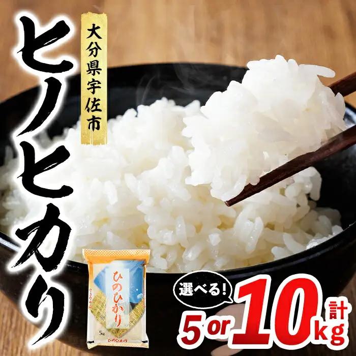 ヒノヒカリ 白米 (計5kg) お米 ごはん ご飯 ひのひかり 数量限定 【117800101】【ジョイライス大分】