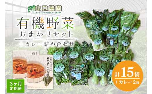 
定期便 ３ヶ月 山口農園 有機野菜 おまかせセット＋カレー２箱 詰合せ 冷蔵 月１回 ／ オーガニック 伝統野菜 レトルトカレー 奈良県 宇陀市
