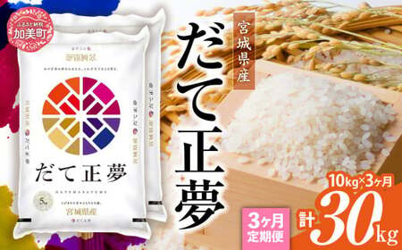 【3回定期便】令和7年産 だて正夢10kg(5kg×2）だて正夢