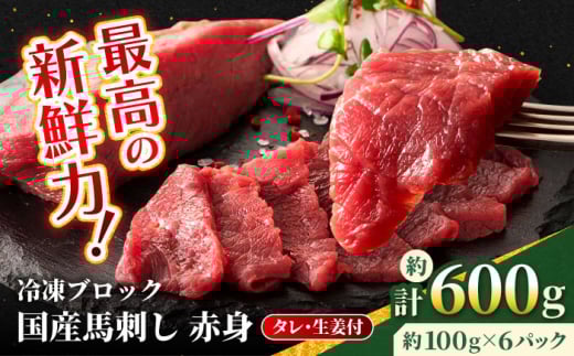 【フジチク】国産 馬刺し 赤身 約100g×6個（計約600g）【亀井通産 株式会社】赤身 馬刺し タレ付き 馬肉 熊本県 合志市  [AYBQ047]