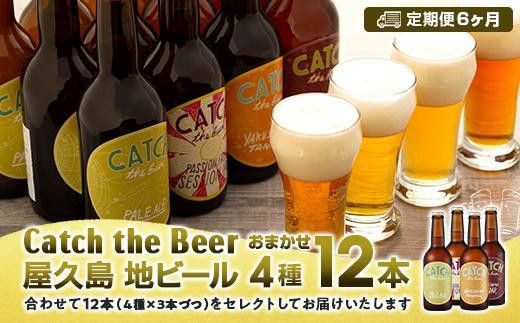 【定期便6ヶ月】屋久島・地ビール Catch the Beerおまかせビール4種12本セット