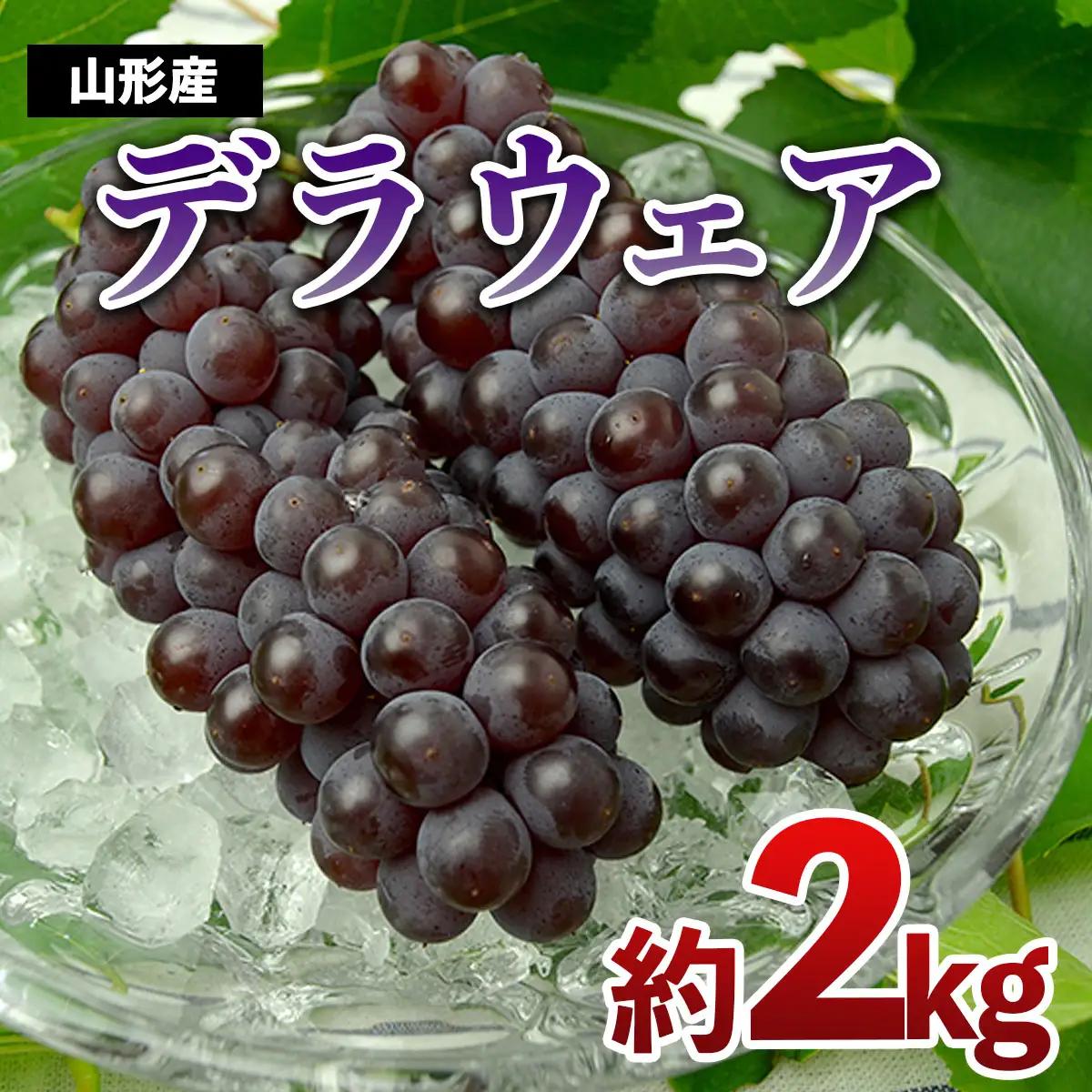 山形のぶどう デラウエア 約2kg(L～3L/10～16房) 【令和7年産先行予約】FS24-569くだもの 果物 フルーツ 山形 山形県 山形市 2025年産