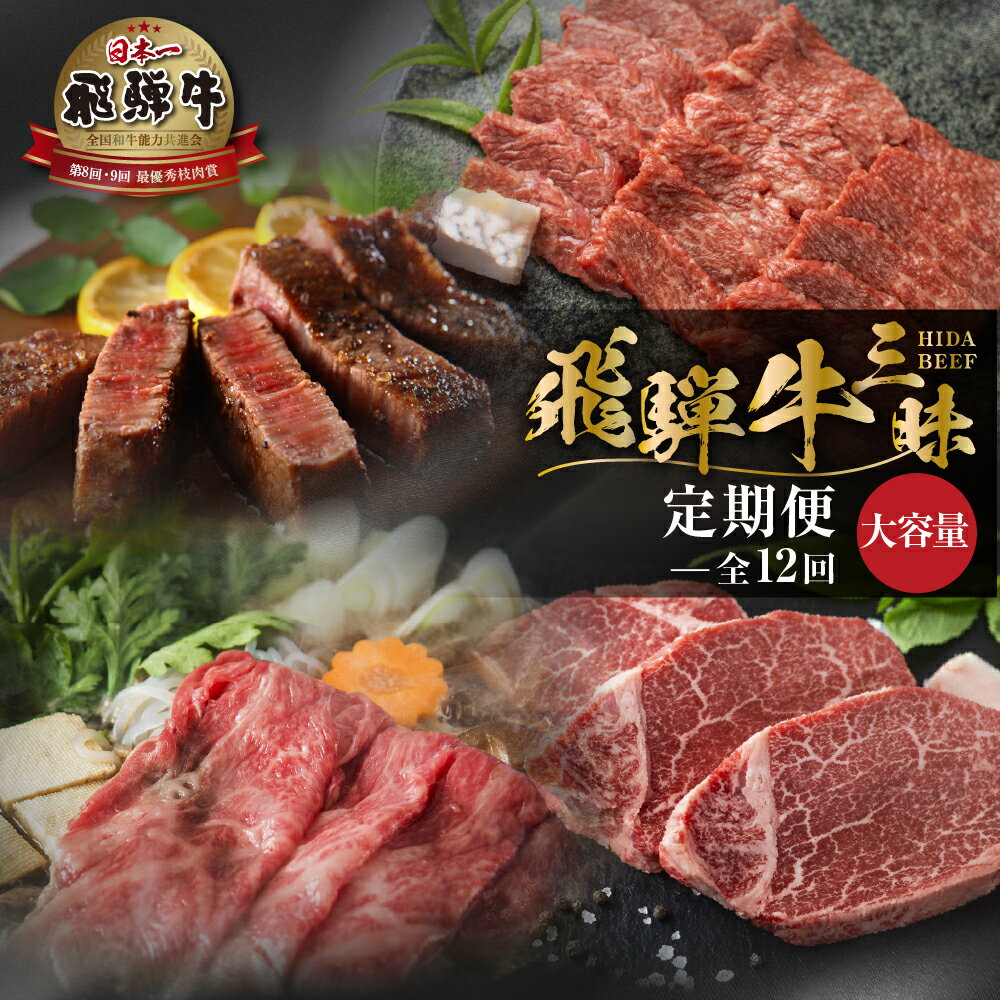 【ふるさと納税】大容量 《まるごと定期便》12回 飛騨牛三昧 大容量 お届け 肉 肉づくし 白川郷 もも肉 しゃぶしゃぶ すき焼き 500000円 50万 国産 黒毛和牛 牛肉 焼肉 カルビ バラ ヒレ ステーキ A4 A5 肩 ロース 焼肉 赤身 霜降り 食べ比べ 岐阜県 お楽しみ [S600]