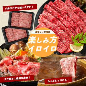 牛肉 鹿児島県産 黒毛和牛 赤身スライス 600g 牛肉 IB112-003