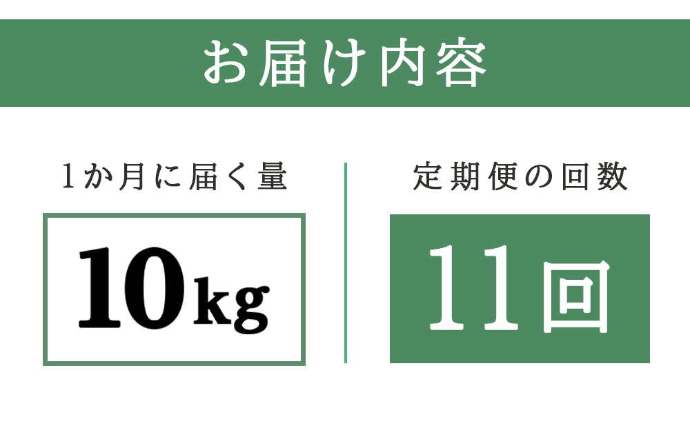 【新米予約】【定期便11回】ゆめぴりか10kg≪杉本農園≫