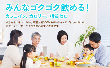 やかんの麦茶 爽健美茶 PET 650ml 24本×2ケース 合計48本 日本茶 お茶 麦茶 ペットボトル カフェインゼロ 常温 10営業日程で発送 常温 送料無料