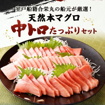 ふるさと納税 室戸市 厳選天然本マグロ　中トロたっぷりセット |  | 01