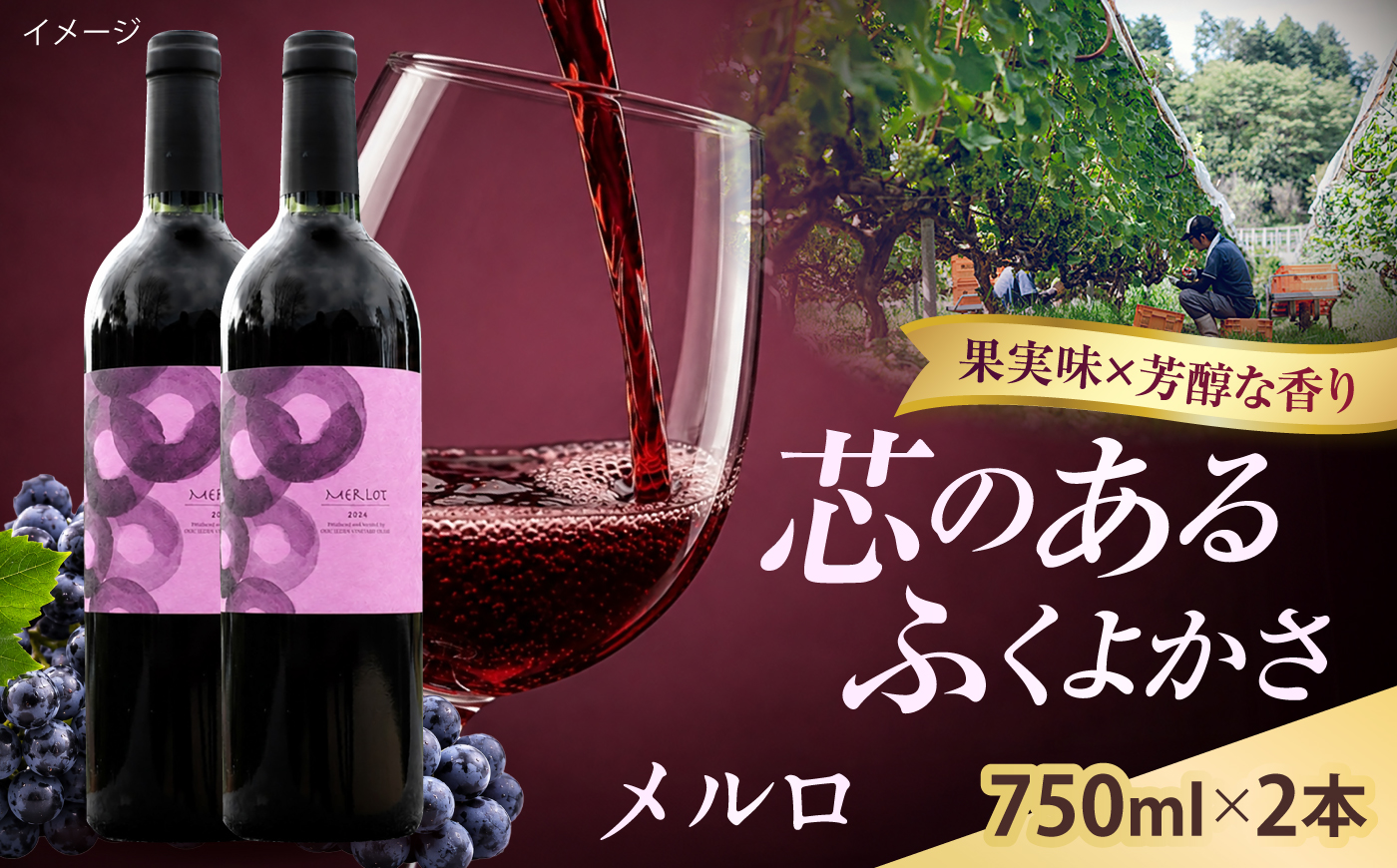 メルロ 2本 750ml×2 赤ワイン 国産 島根県雲南市/有限会社奥出雲葡萄園 [AICS101]