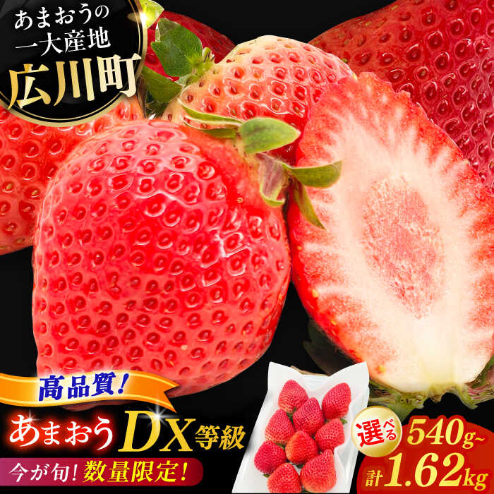 【ふるさと納税】【★先行予約★　2026年2月より発送】〈選べる容量〉あまおうDXセット 約540g～1.6kg くだもの いちご イチゴ 果物 広川町 / JAふくおか八女農産物直売所どろや[AFAB004]