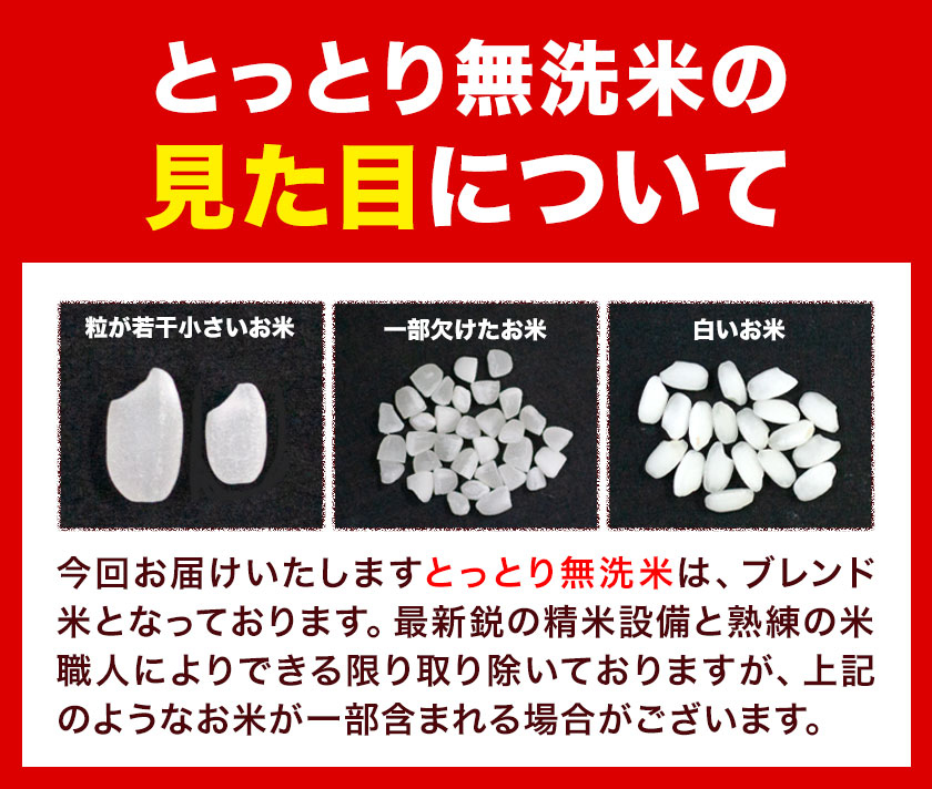 とっとり無洗米 10kg《2025年11月中旬-12月末頃出荷》鳥取県 八頭町 米 お米 白米 ご飯 八頭 ふるさと無洗米
