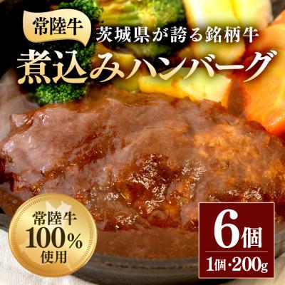 ふるさと納税 茨城町 煮込みハンバーグ 200g×6袋