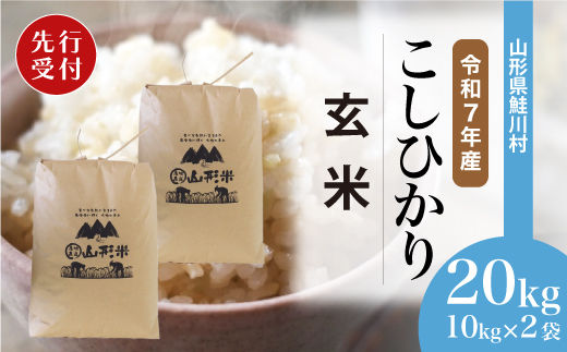 ＜令和7年産米先行受付＞ 令和8年6月上旬発送　こしひかり 【玄米】 20kg （10kg×2袋） 鮭川村