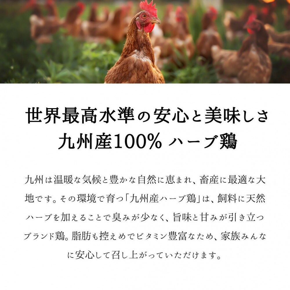 福岡発！ローストチキン専門店のこだわりモモ肉とレッグチキンのセット＜秘伝の蜂蜜醤油タレ＞