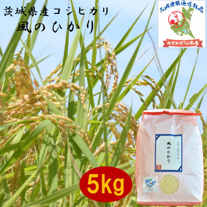 【ふるさと納税】 令和7年度産 コシヒカリ 風のひかり 5kg 農家直送 出荷日精米 茨城県産 茨城県共通返礼品 かすみがうら市産 米 お米 白米 こめ 精米 取り寄せ 特産 ごはん ご飯 コメ お取り寄せ ギフト 贈り物 お弁当 弁当 おにぎり ふっくら ツヤツヤ 甘い 産地直送 国産