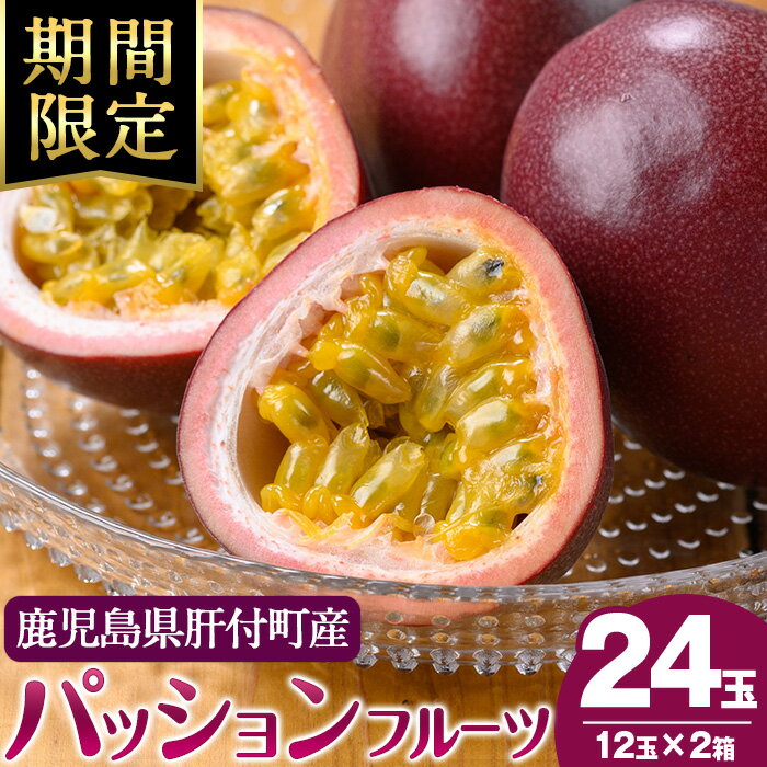 【ふるさと納税】＜先行予約受付中！2026年5月下旬より準備が整い次第順次発送＞《期間限定》鹿児島県産 パッションフルーツ (約2.2kg・12玉入り2箱) 鹿児島 国産 トロピカルフルーツ 南国フルーツ 果実 果肉 果物 ビタミン 農家直送 産地直送 鹿児島 ギフト 【丸山果樹園】