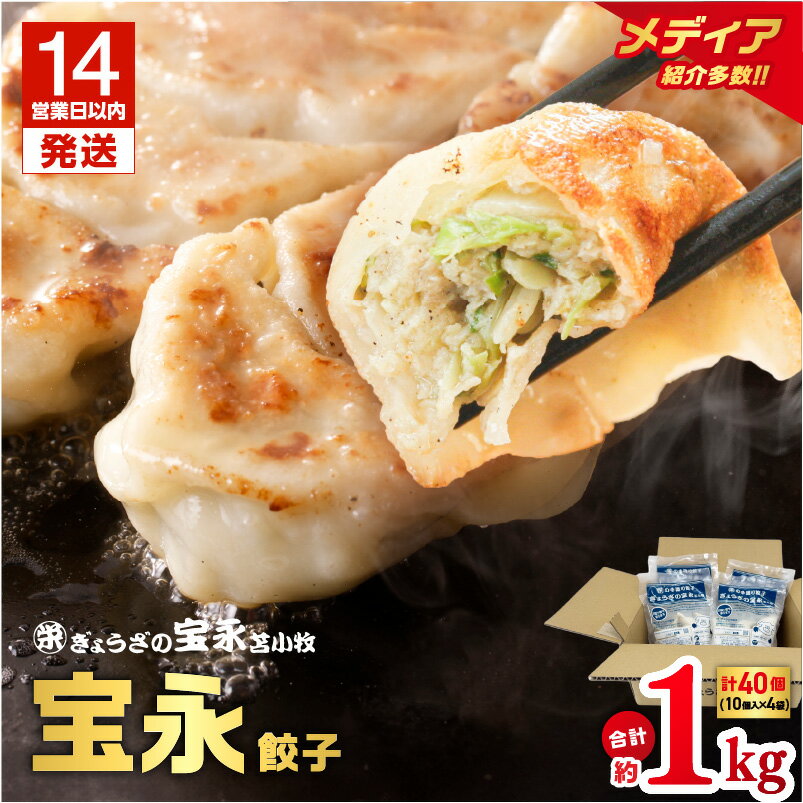 【ふるさと納税】【14営業日以内に発送】＜選べる種類と容量＞ ぎょうざの宝永 宝永 餃子 チーズ餃子 1kg ～ 1.5kg 冷凍 ギョーザ 肉 野菜 チーズ 食べ比べ セット 水餃子 焼き餃子 もちもち ジューシー 中華 北海道 苫小牧市 おすすめ ランキング プレゼント ギフト