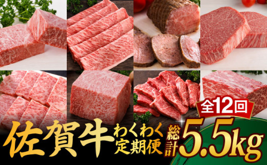 
【全12回】 A5ランク 佐賀牛 霜降り 食べ比べ 定期便 約2-3人前 総計5.52kg 30万 /焼肉どすこい [UCC005] 最高級 牛肉 肉 ステーキ スライス ローストビーフ 焼肉
