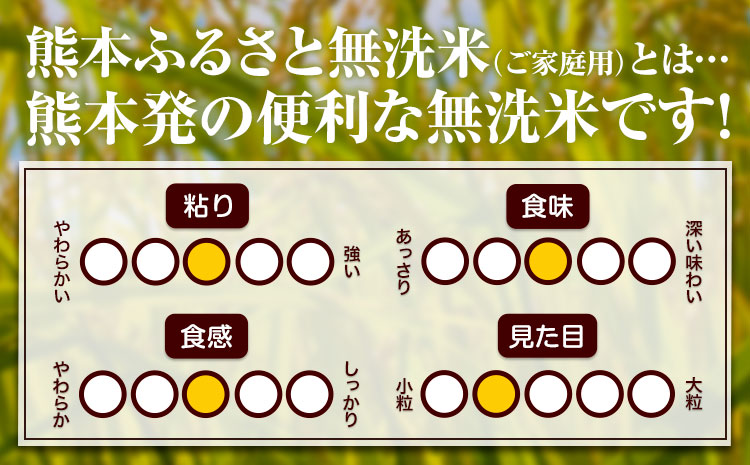 【3ヶ月定期便】熊本ふるさと無洗米 15kg 訳あり《お申込み月の翌月から出荷開始》 熊本県産 無洗米 5kg×3袋---mifune_lcl_139_mo3num1---