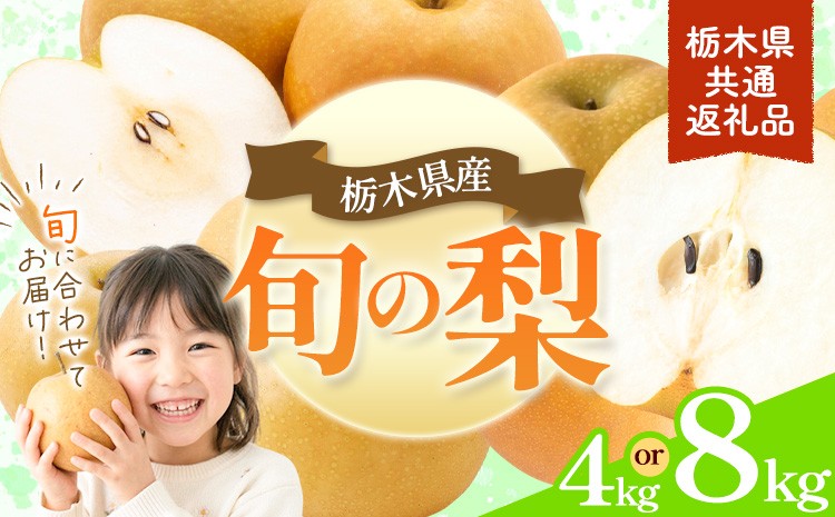 
                  先行予約 旬の梨 選べる内容量 約4kg 約8kg 幸水 豊水 あきづき 新高 にっこり《8月上旬-10月中旬頃出荷予定》 栃木県 野木町 なし ナシ くだもの 果物 青果物 フルーツ
                
